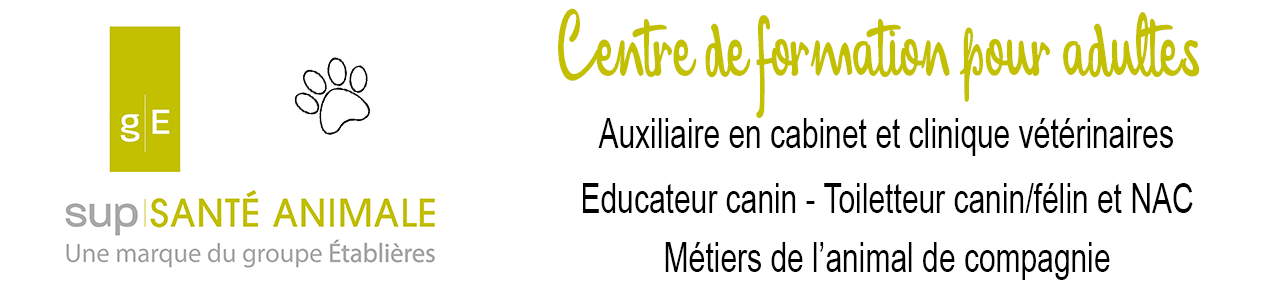 Bannière du fournisseur ÉCOLE DES ÉTABLIERES - Sup Santé Animale