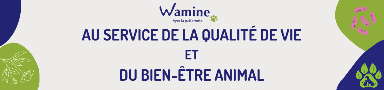 Bannière du fournisseur WAMINE