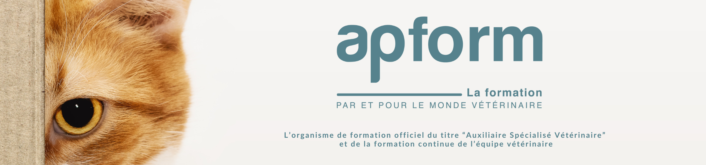 Photo du fournisseur APFORM