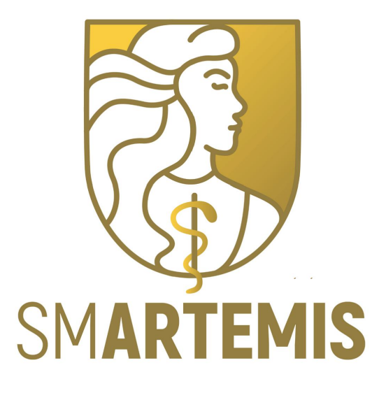 Logo du fournisseur SMARTEMIS